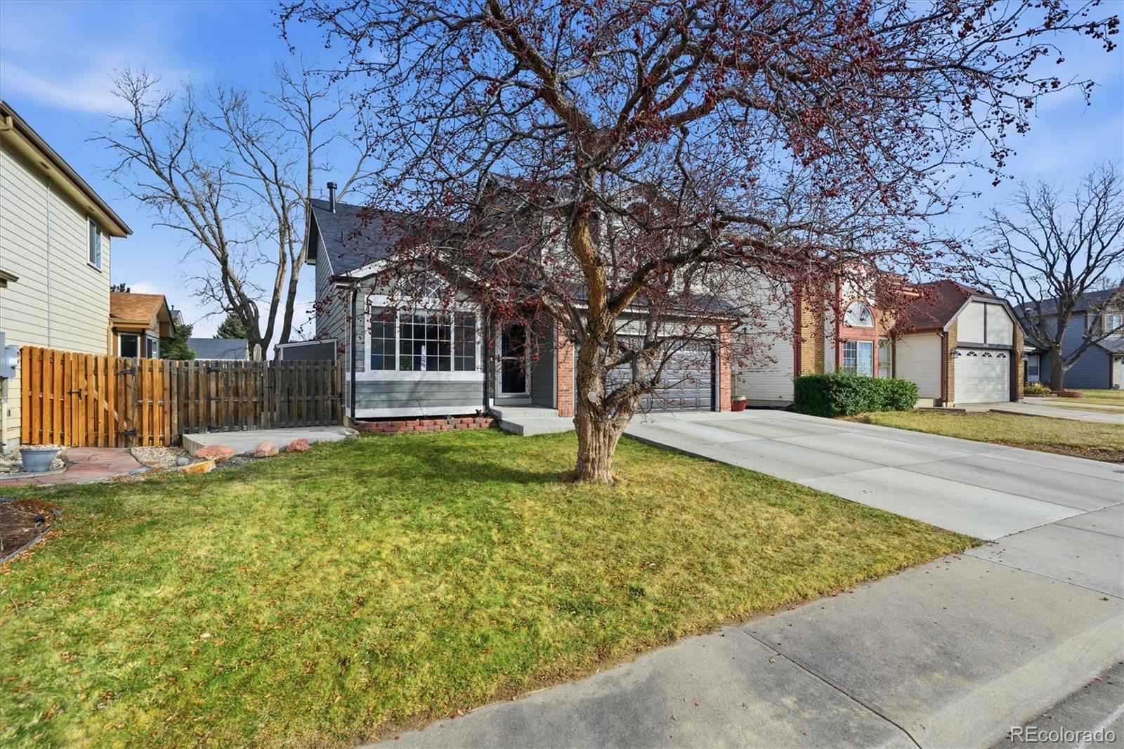 MLS Image #45 for 5524 s zang street,littleton, Colorado