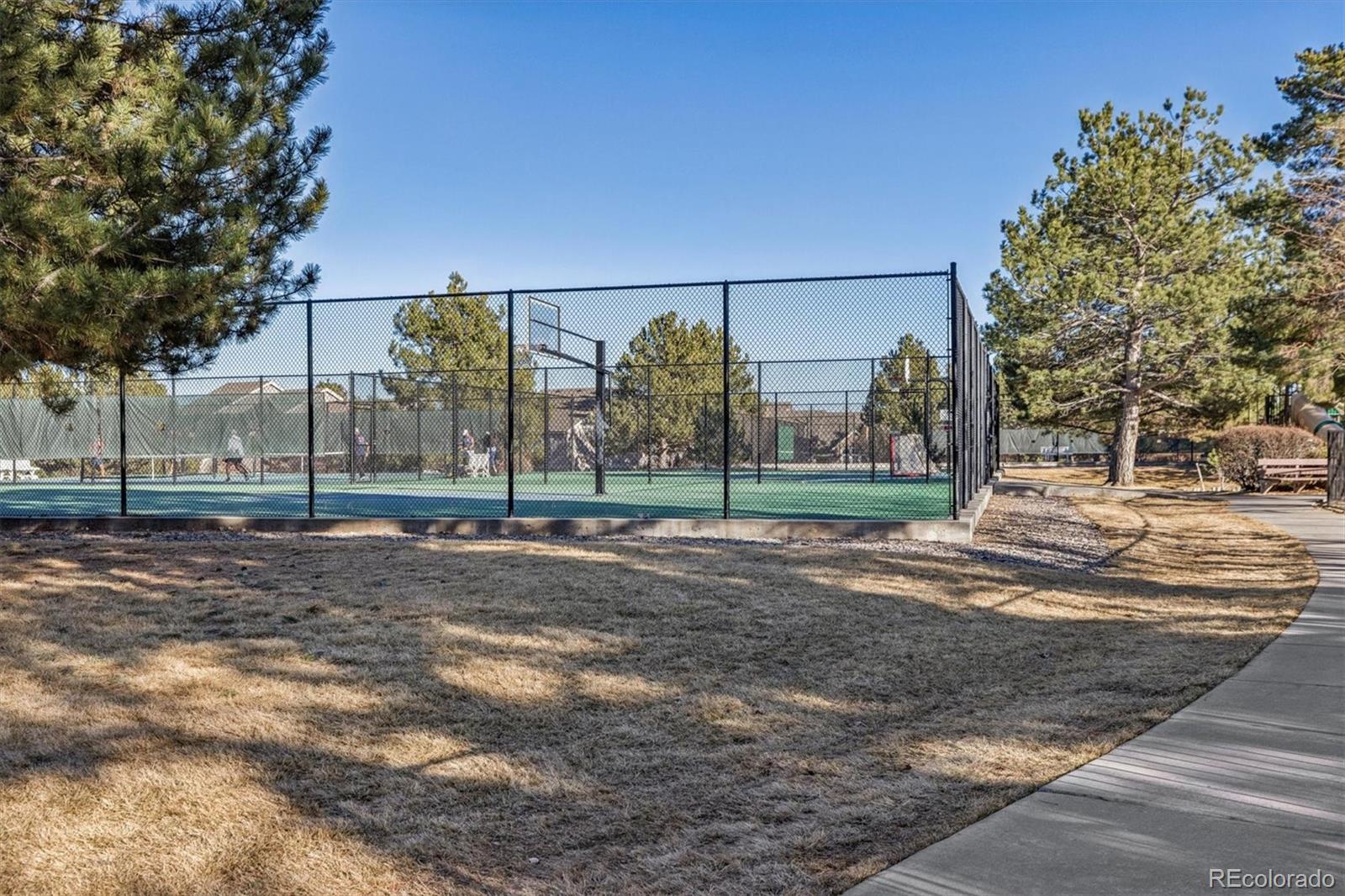 MLS Image #26 for 7387  norfolk place ,castle pines, Colorado