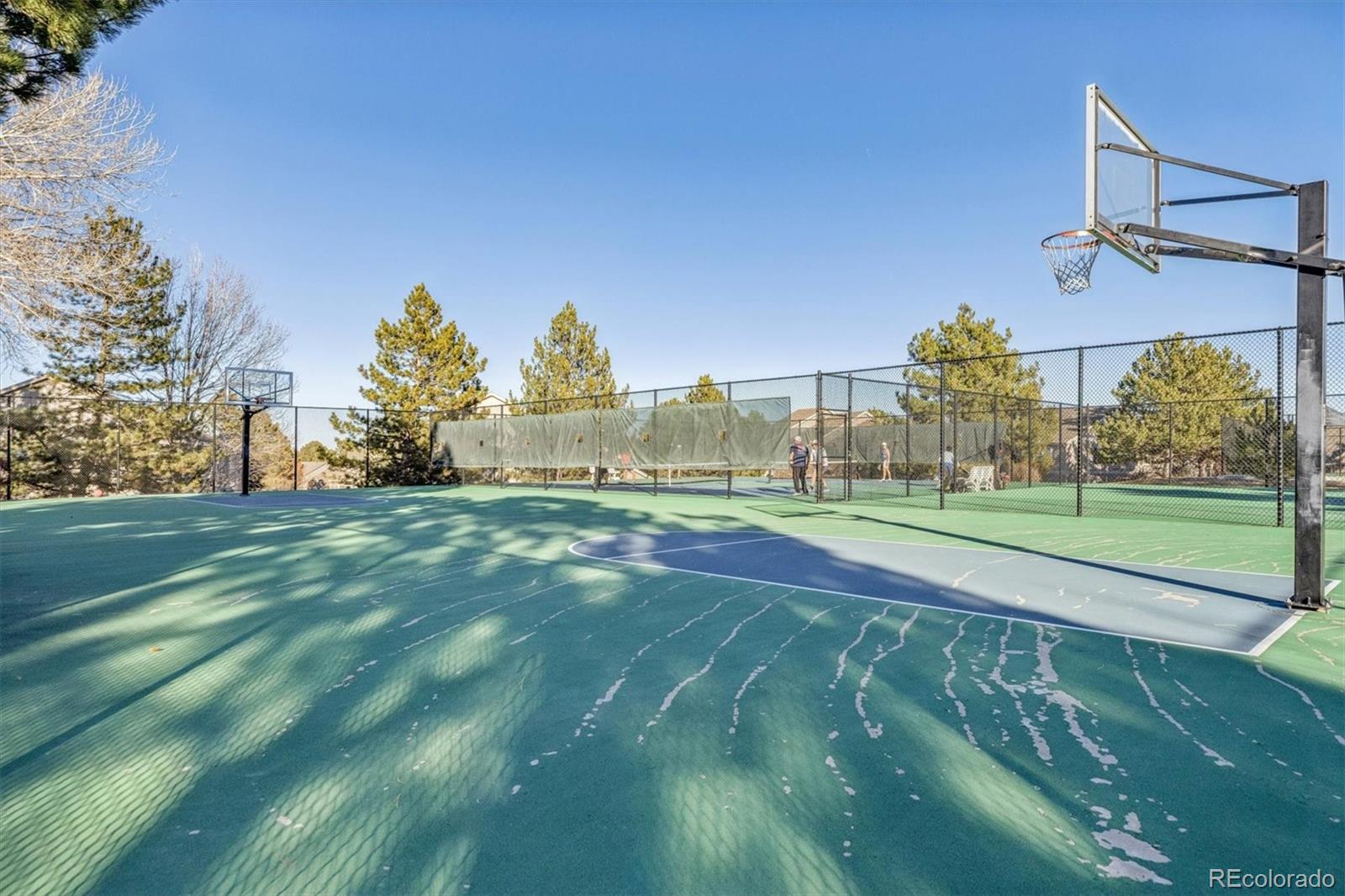 MLS Image #27 for 7387  norfolk place ,castle pines, Colorado
