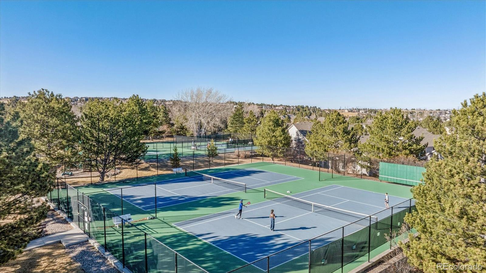 MLS Image #28 for 7387  norfolk place ,castle pines, Colorado