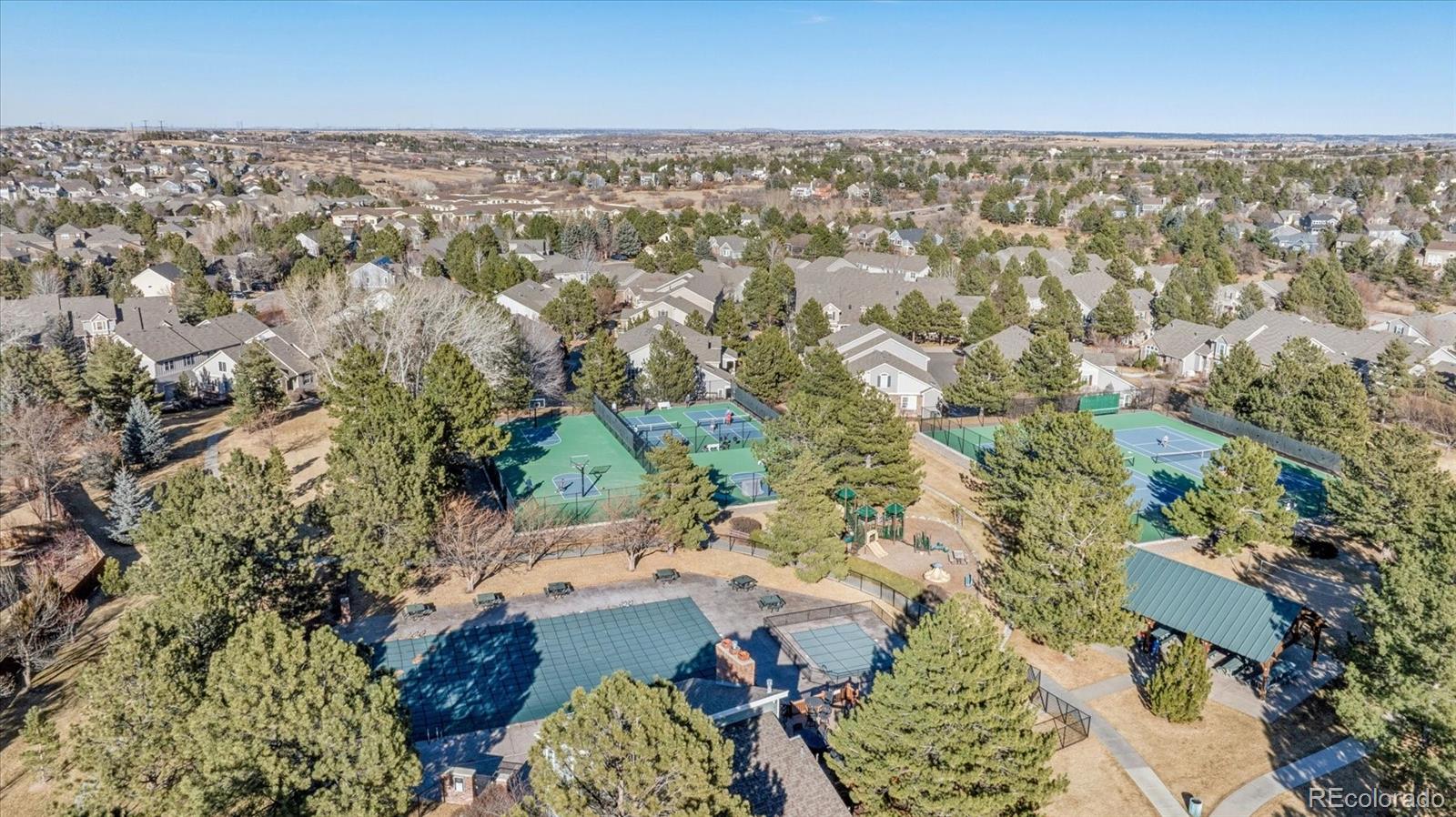 MLS Image #33 for 7387  norfolk place ,castle pines, Colorado