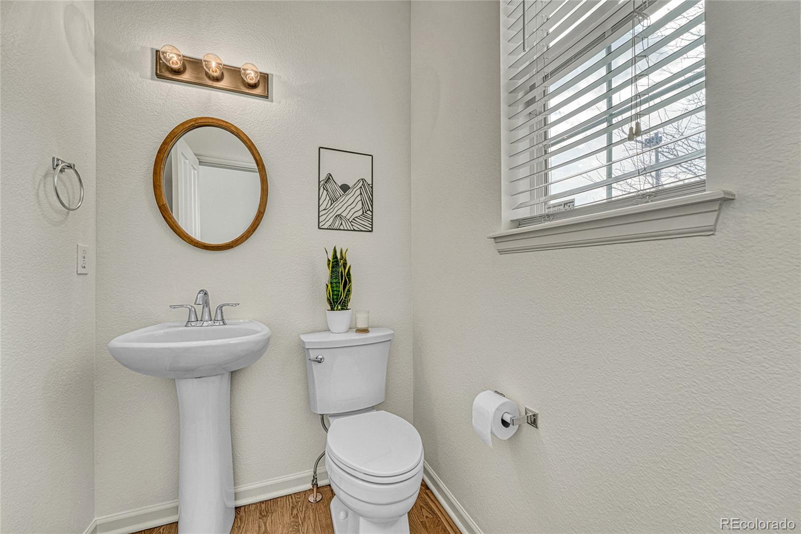 MLS Image #15 for 2941  night song way,castle rock, Colorado