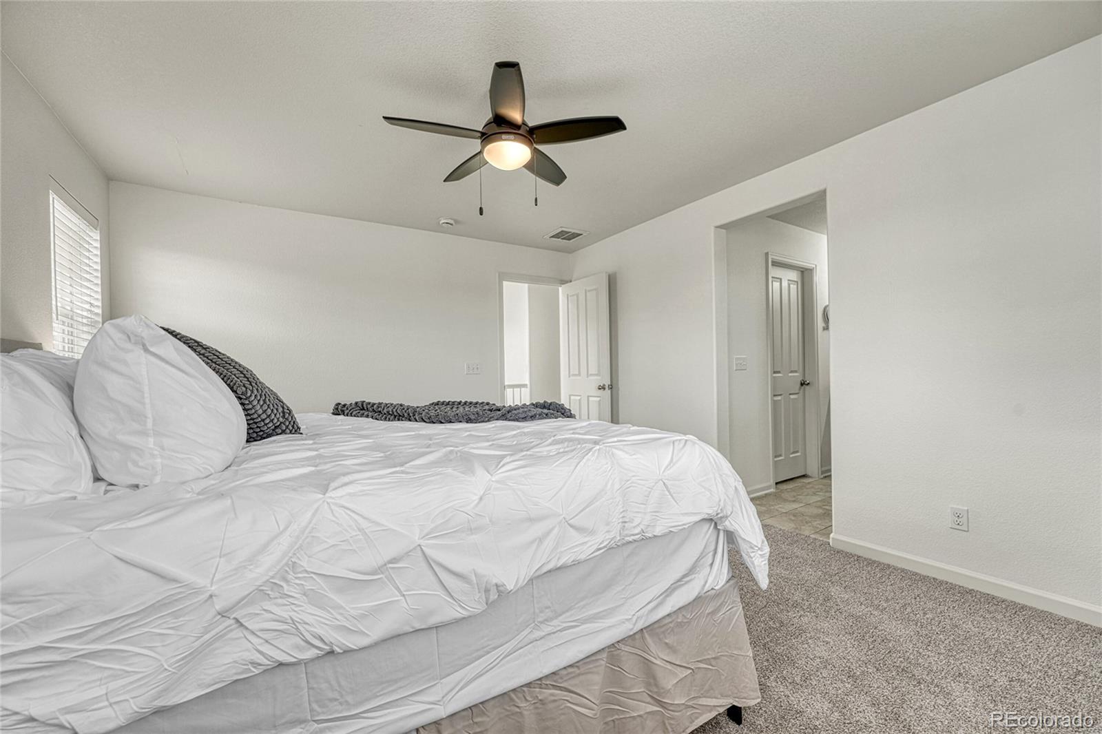 MLS Image #18 for 2941  night song way,castle rock, Colorado