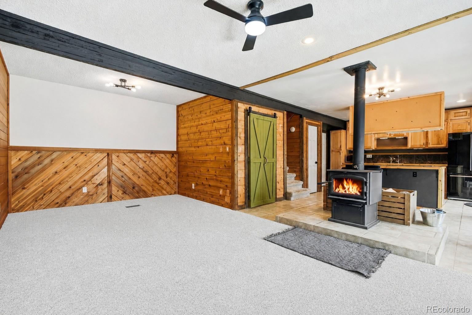 MLS Image #13 for 13287 s otoe street,pine, Colorado