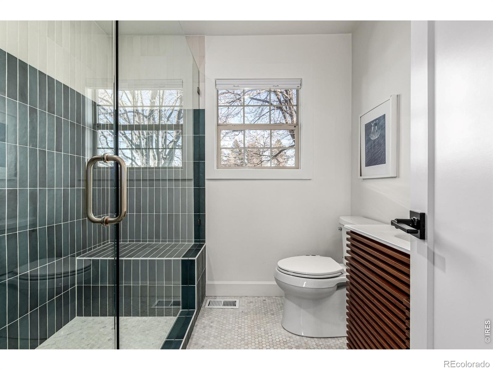 MLS Image #14 for 1542 s ogden street,denver, Colorado