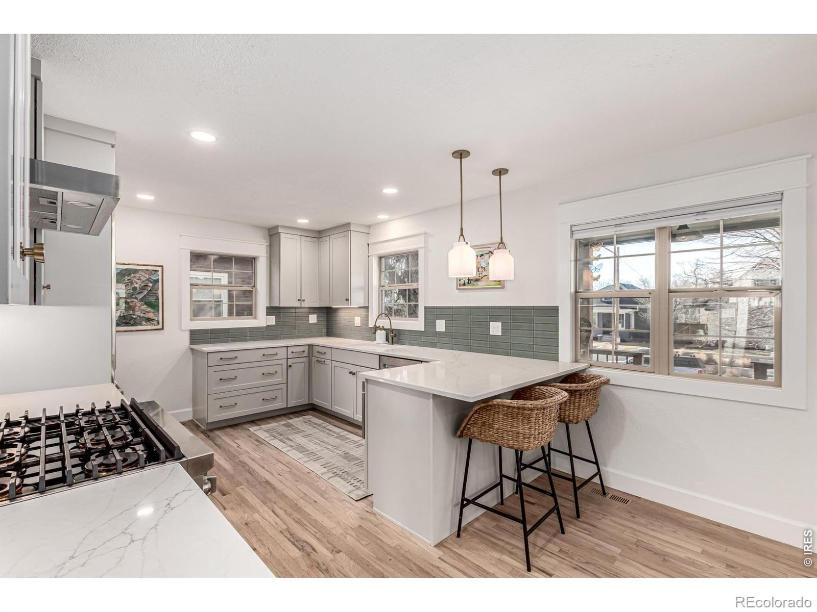 MLS Image #6 for 1542 s ogden street,denver, Colorado