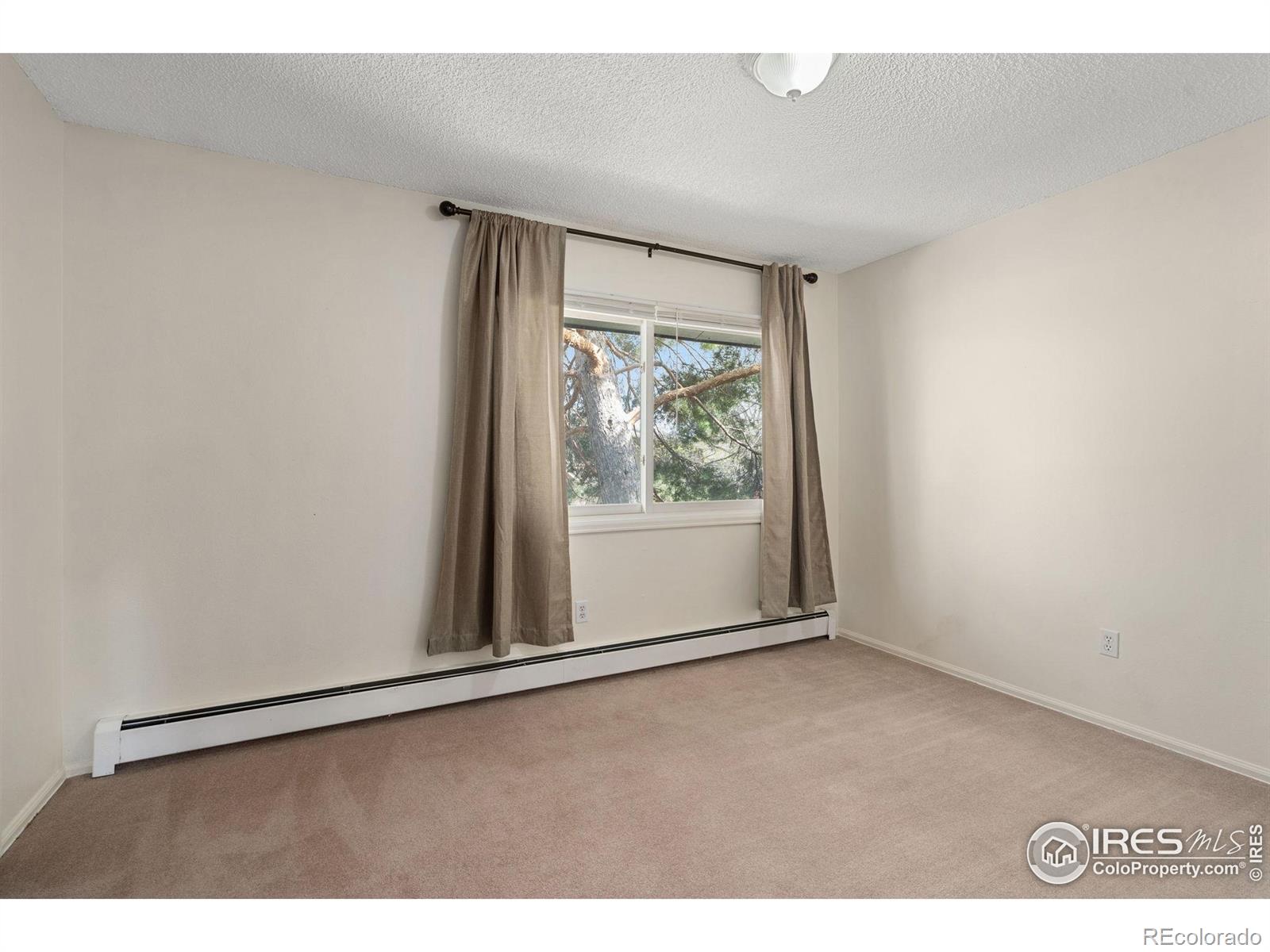MLS Image #11 for 1924  adriel court,fort collins, Colorado