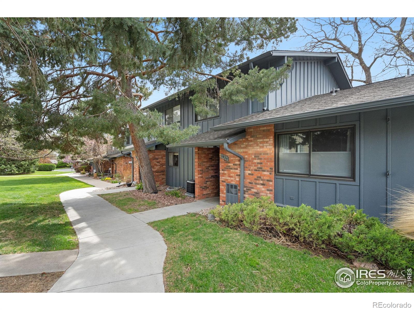MLS Image #2 for 1924  adriel court,fort collins, Colorado