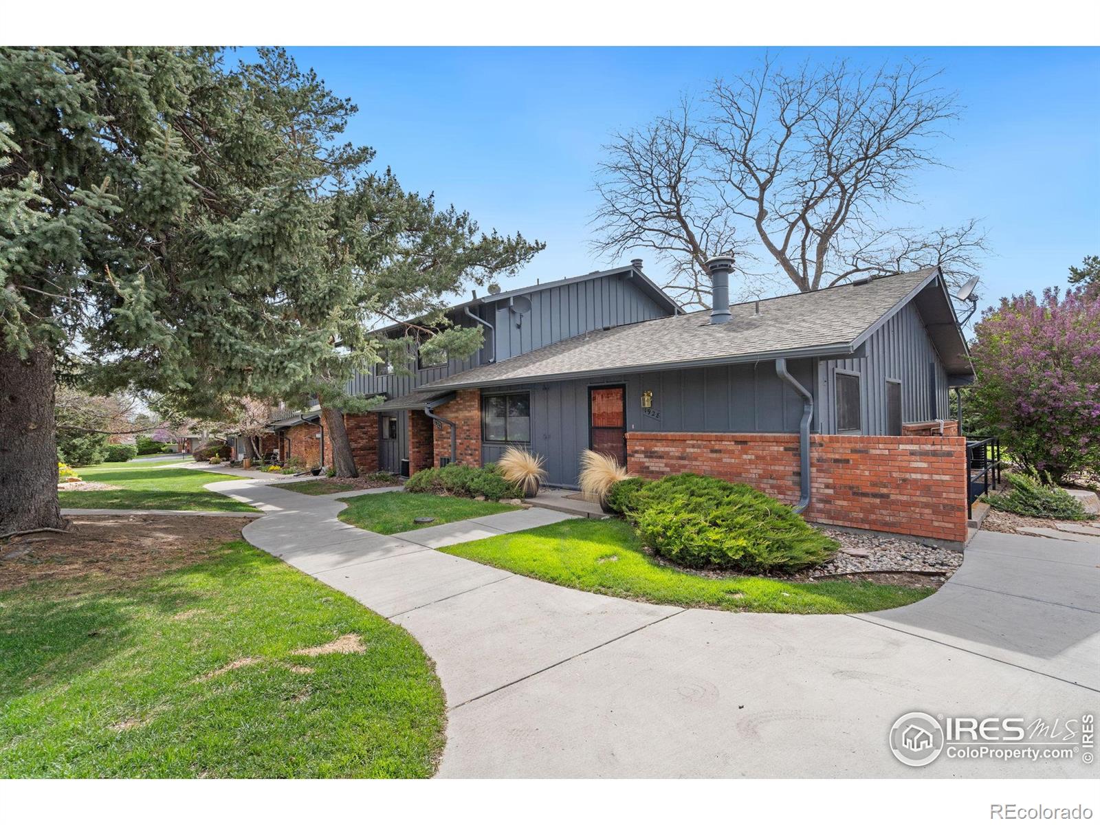 MLS Image #3 for 1924  adriel court,fort collins, Colorado