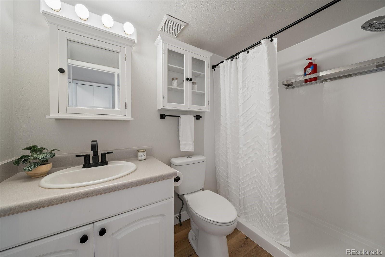 MLS Image #16 for 2614 s grant street,denver, Colorado