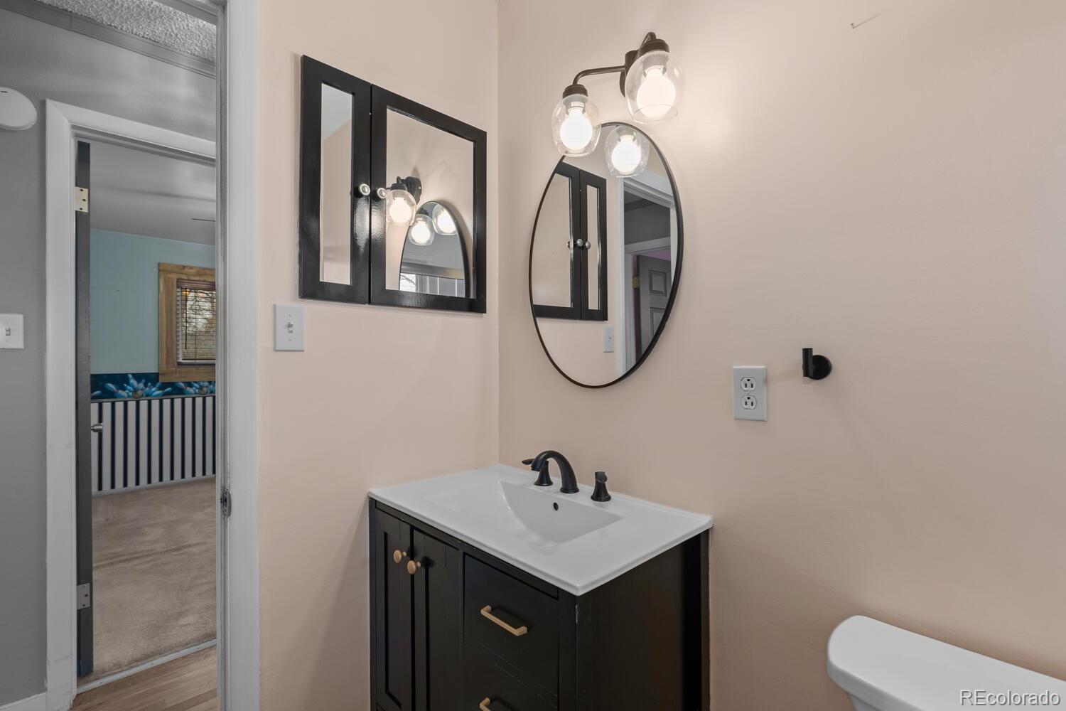 MLS Image #19 for 8540  faraday street,denver, Colorado