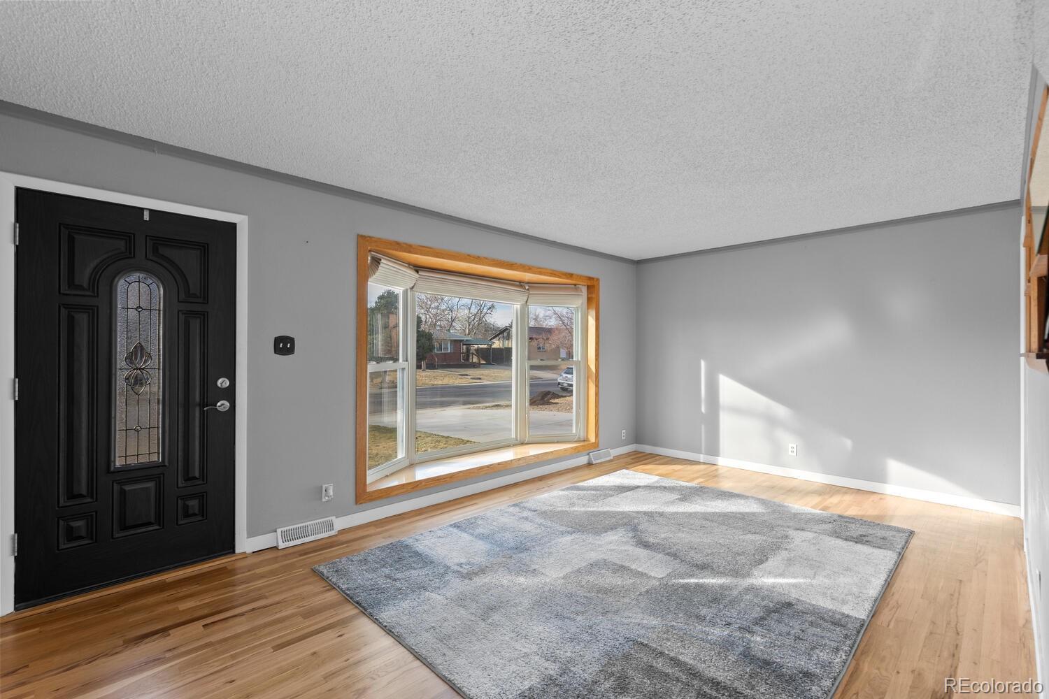 MLS Image #3 for 8540  faraday street,denver, Colorado