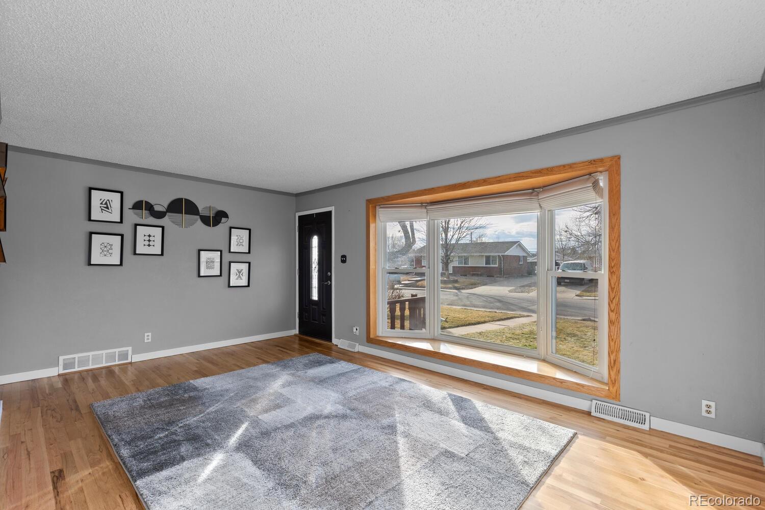 MLS Image #6 for 8540  faraday street,denver, Colorado