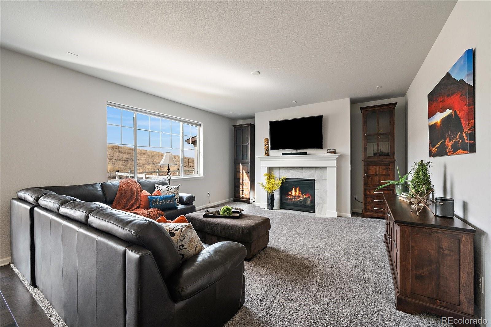 MLS Image #6 for 2989  bittern street,castle rock, Colorado