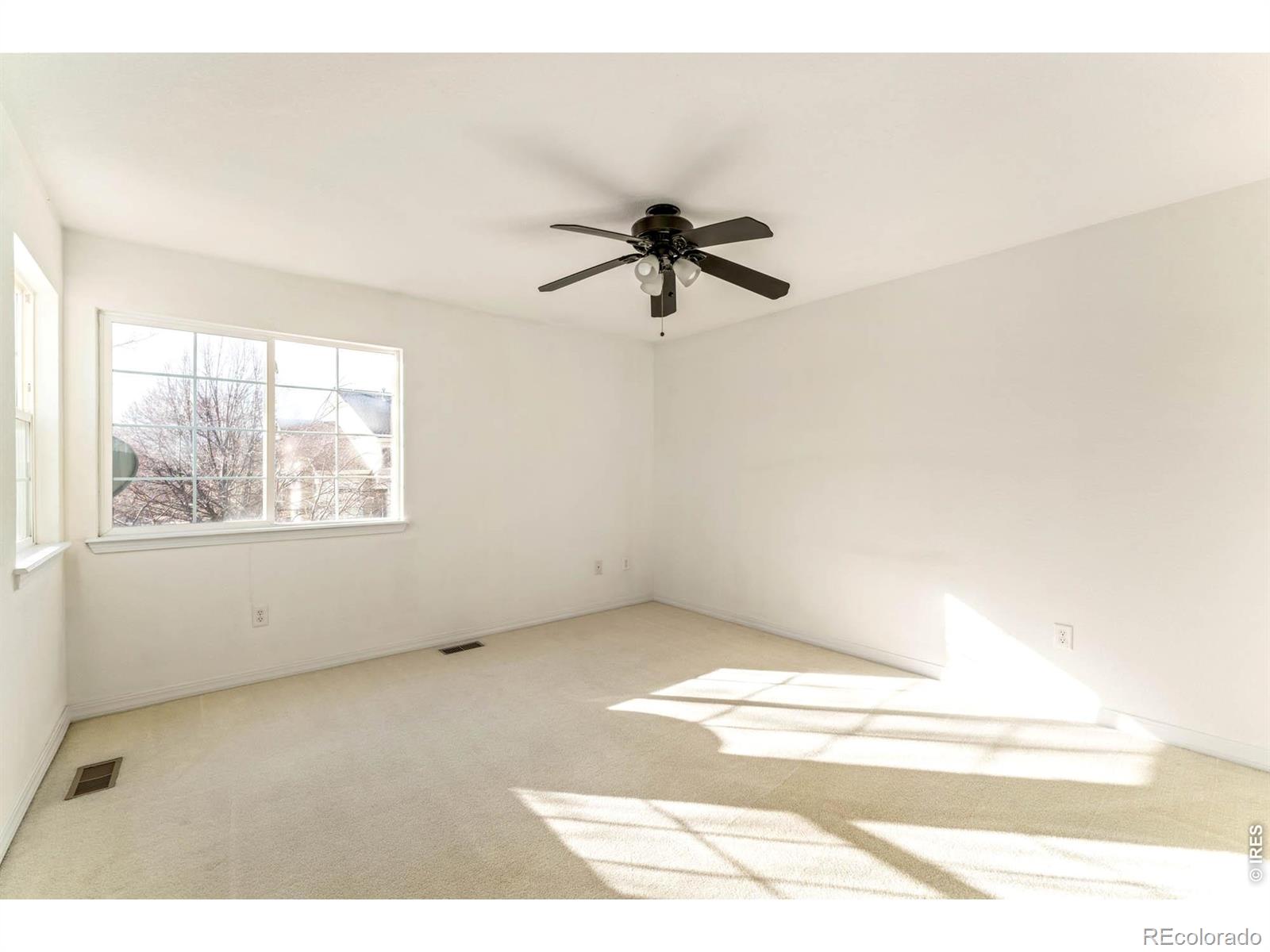 MLS Image #12 for 930  button rock drive,longmont, Colorado