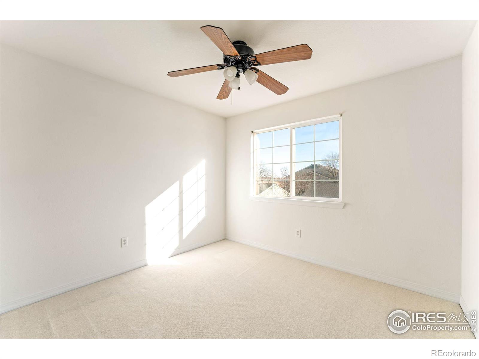 MLS Image #16 for 930  button rock drive,longmont, Colorado