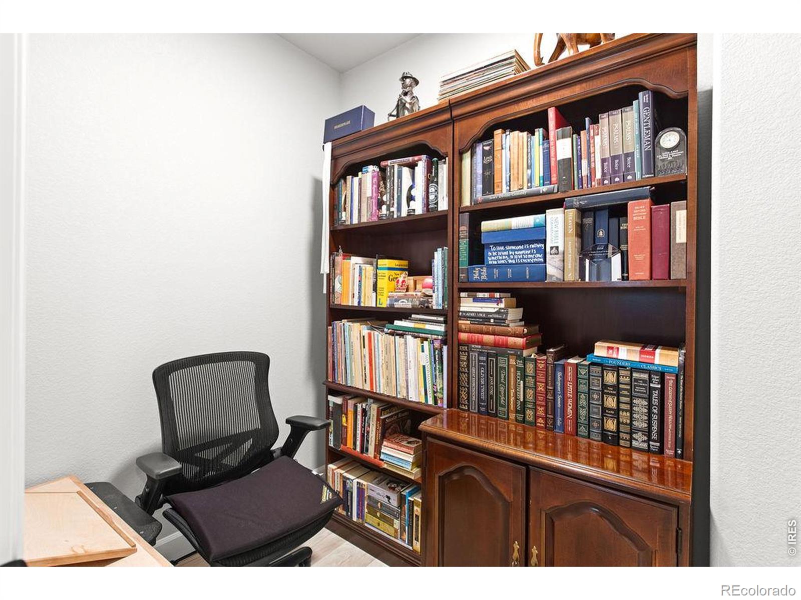 MLS Image #41 for 366  bluestar drive,windsor, Colorado