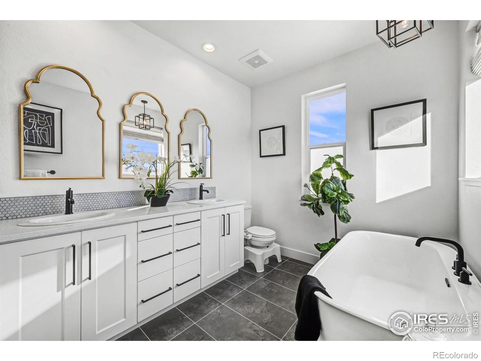 MLS Image #20 for 5202  cloud dance drive,timnath, Colorado