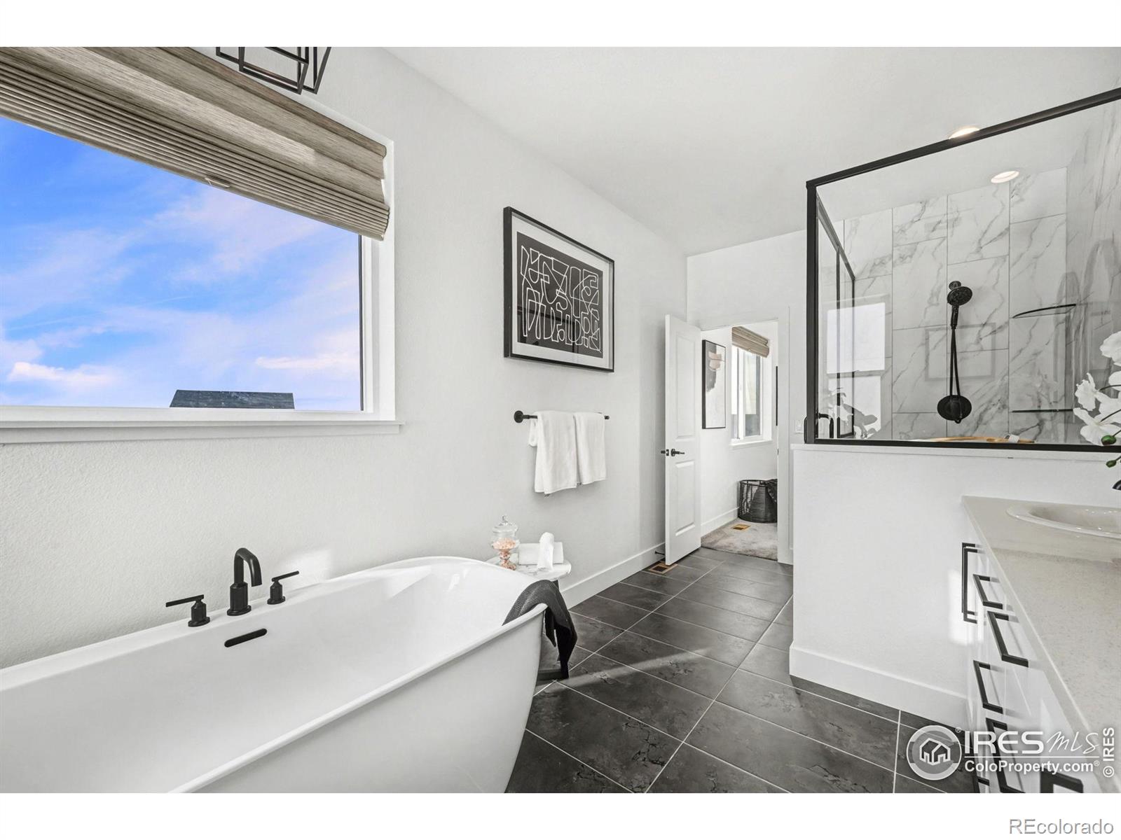 MLS Image #21 for 5202  cloud dance drive,timnath, Colorado