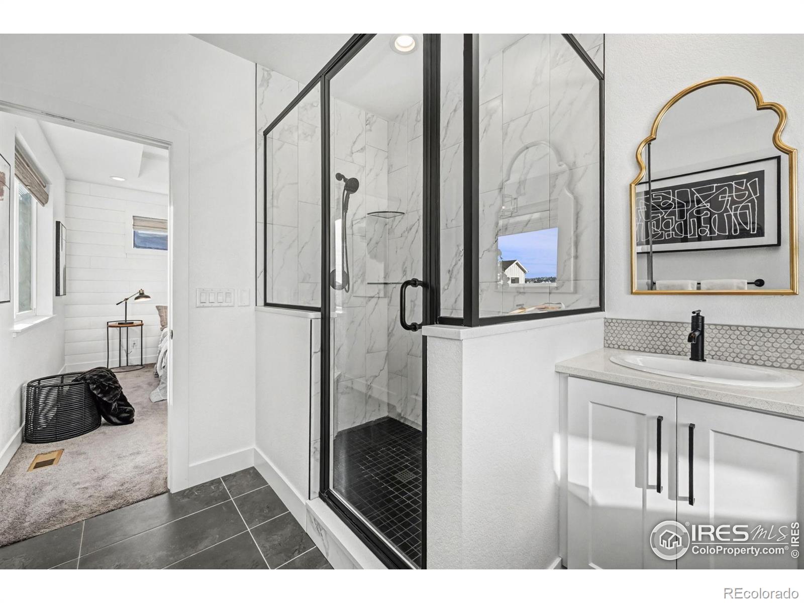MLS Image #22 for 5202  cloud dance drive,timnath, Colorado