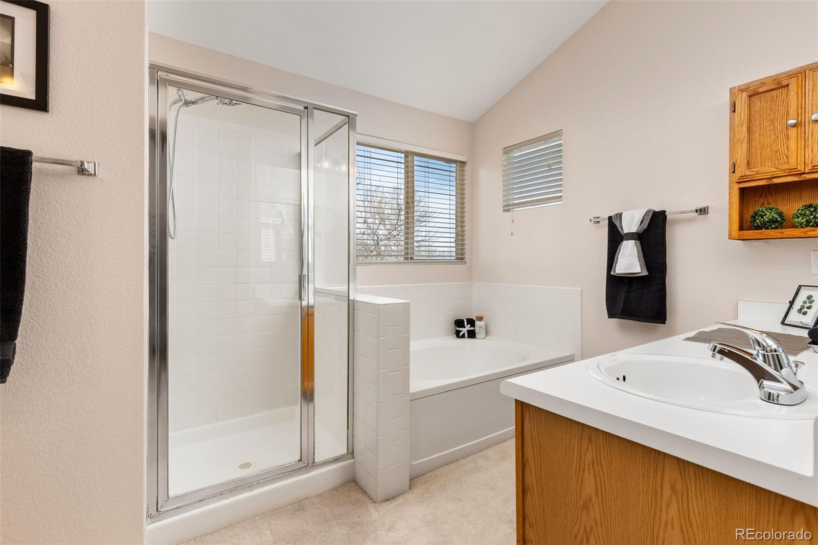 MLS Image #12 for 2272  hyacinth road,highlands ranch, Colorado