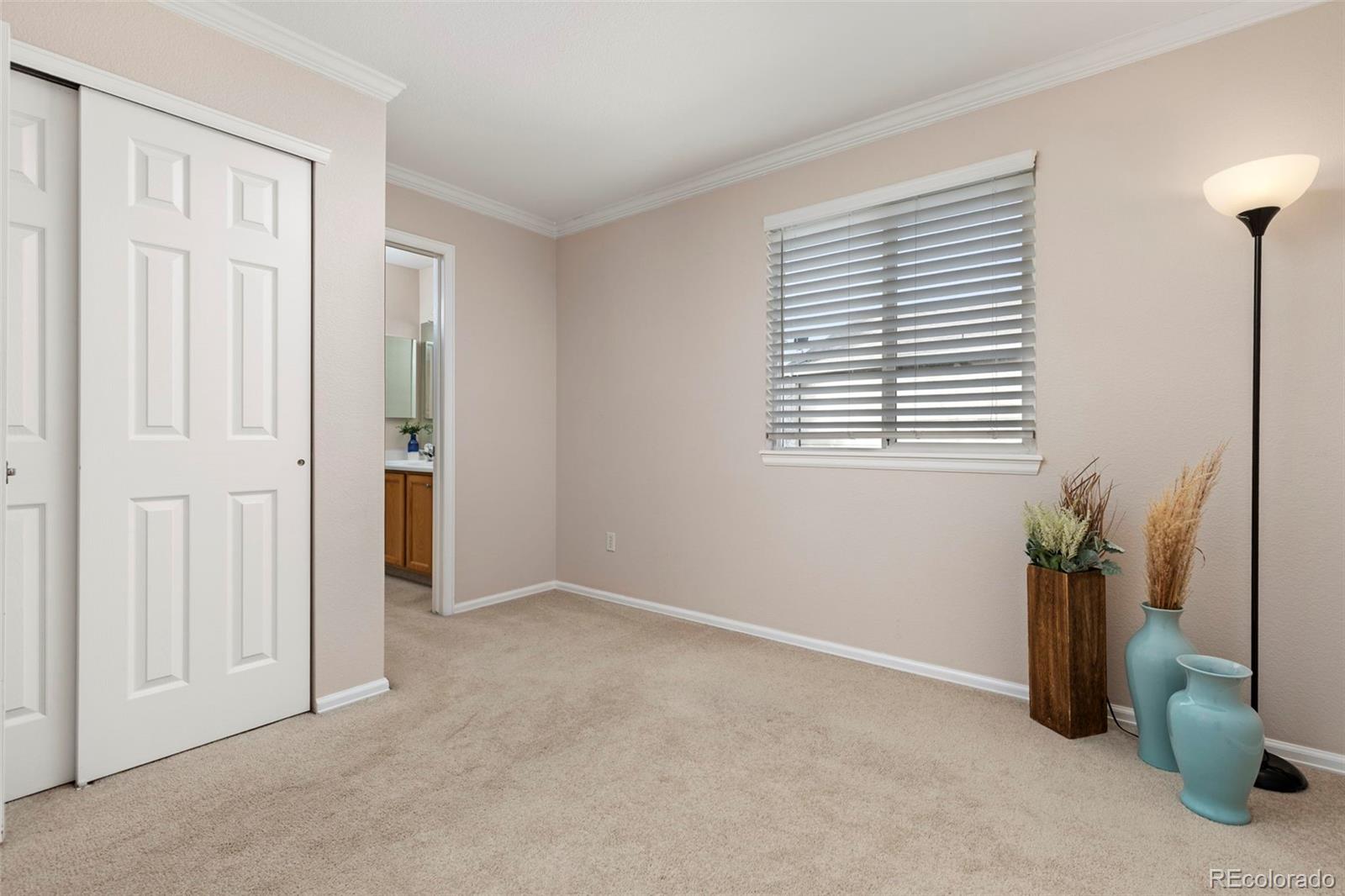 MLS Image #18 for 2272  hyacinth road,highlands ranch, Colorado