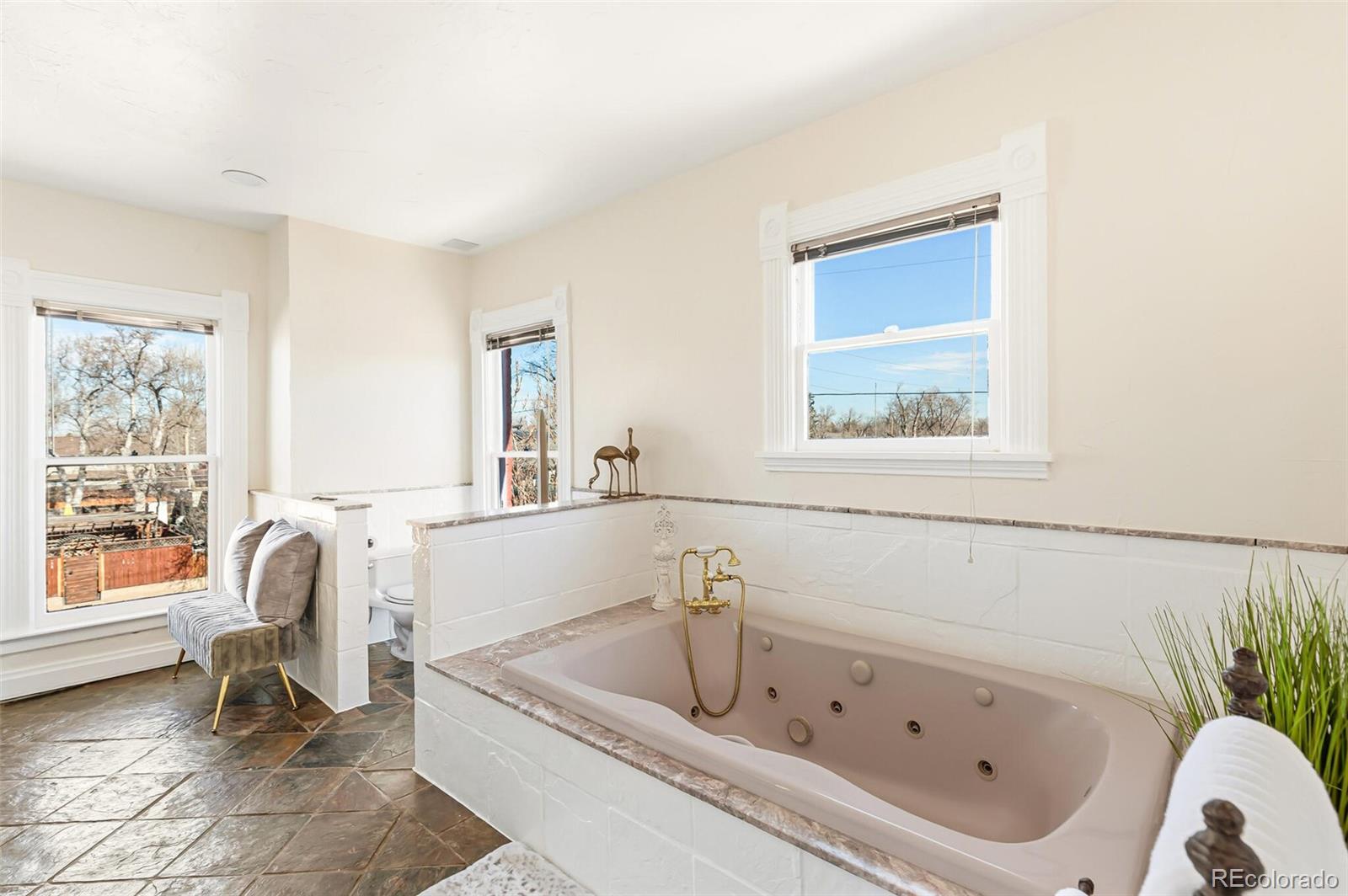 MLS Image #33 for 1800 s sherman street,denver, Colorado