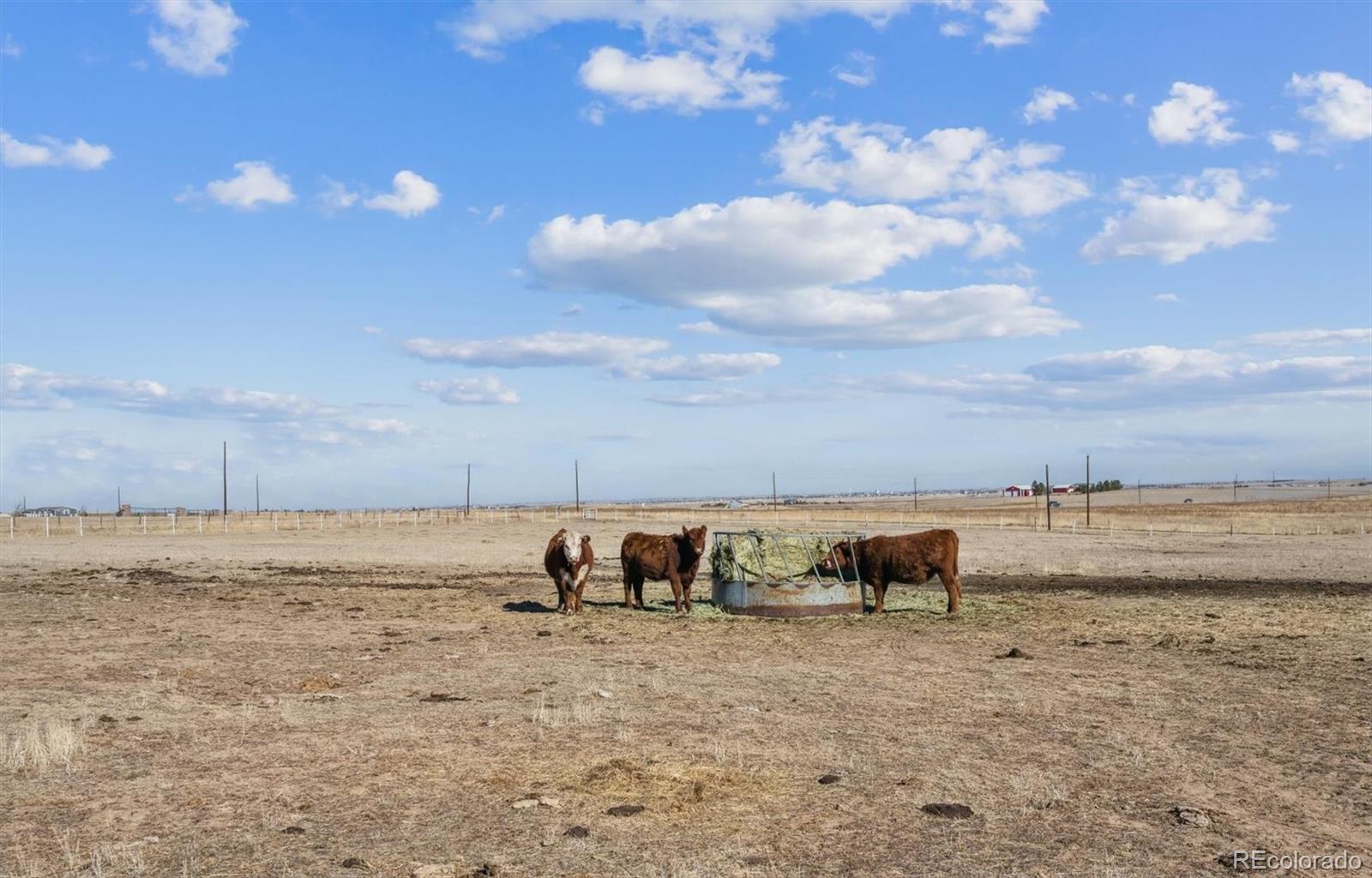 MLS Image #36 for 43251 e iliff trail,bennett, Colorado