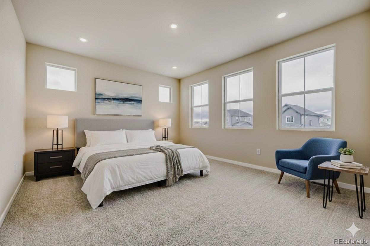 MLS Image #14 for 13790  daffodil way,parker, Colorado