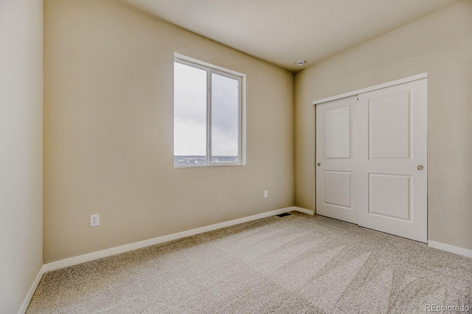 MLS Image #19 for 13790  daffodil way,parker, Colorado