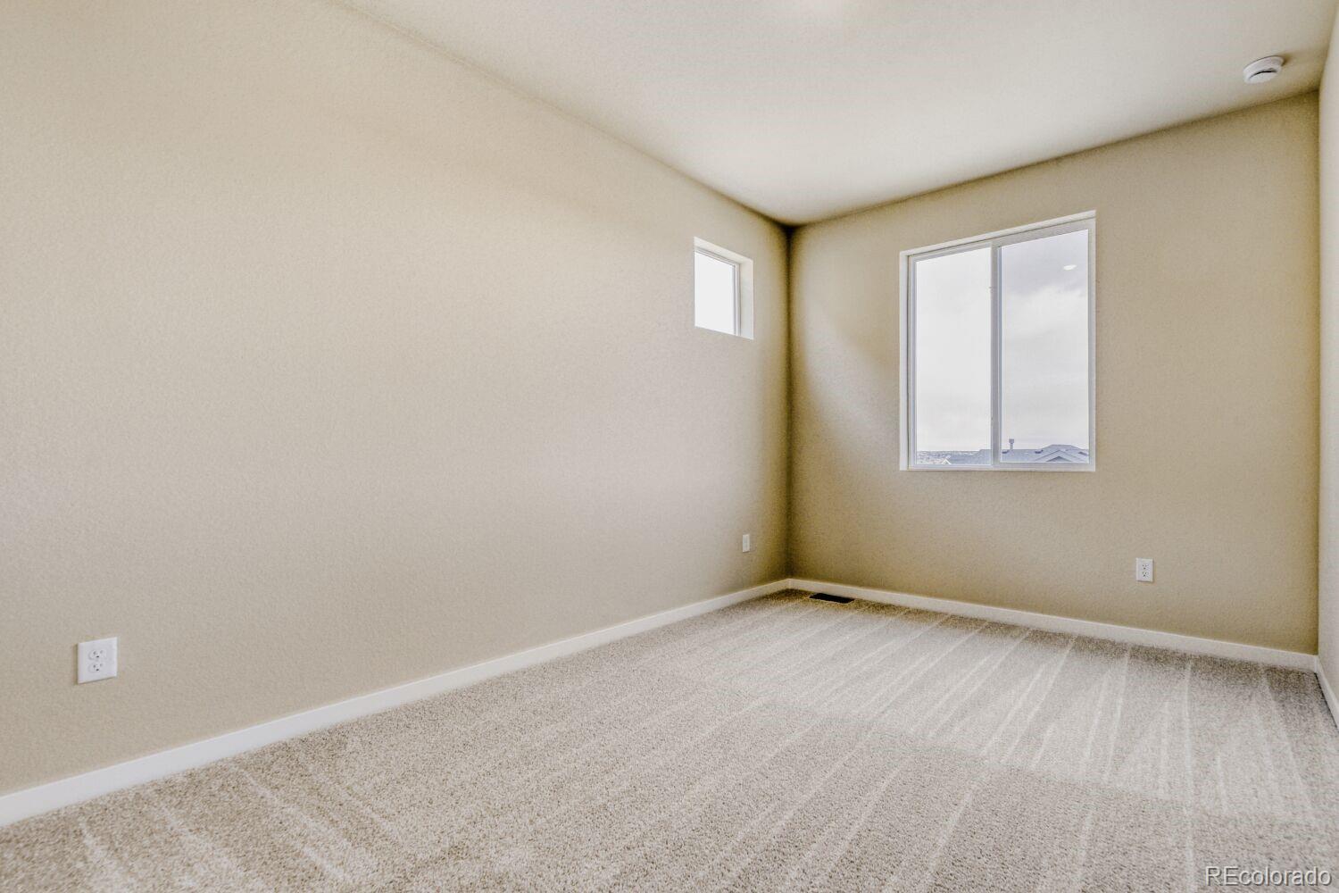 MLS Image #20 for 13790  daffodil way,parker, Colorado