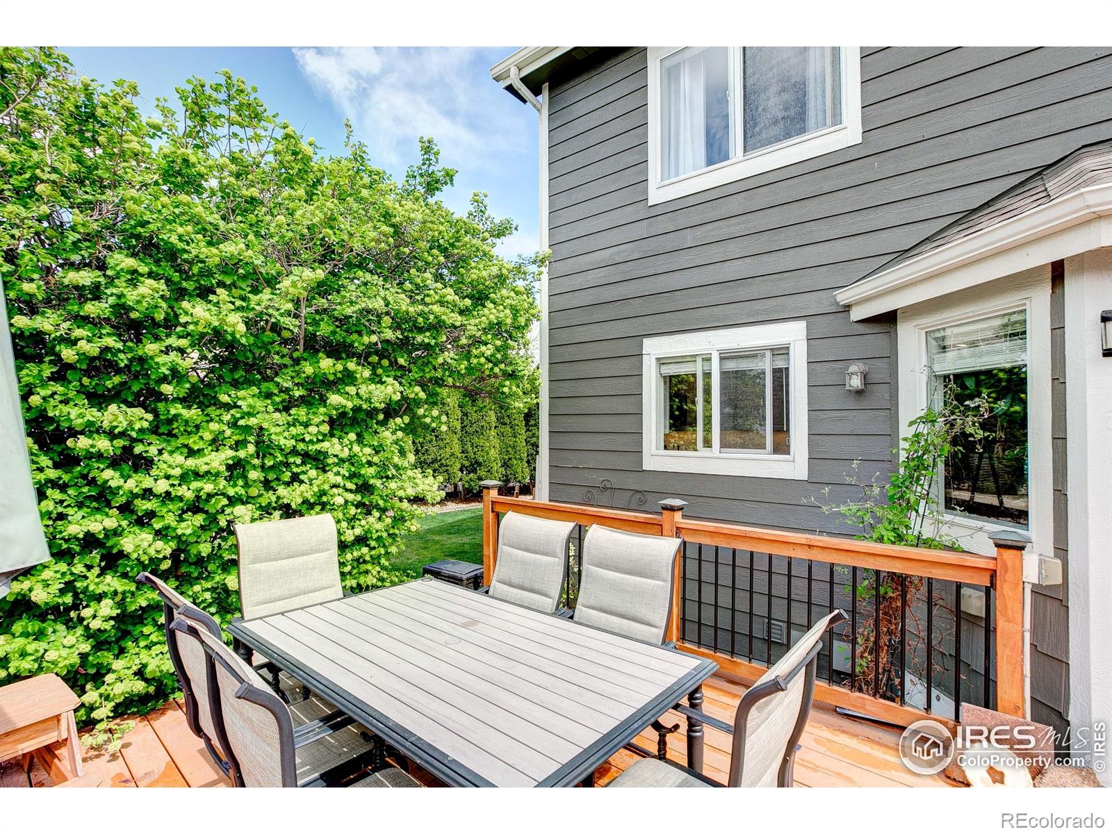 MLS Image #14 for 2875  dafina drive,loveland, Colorado