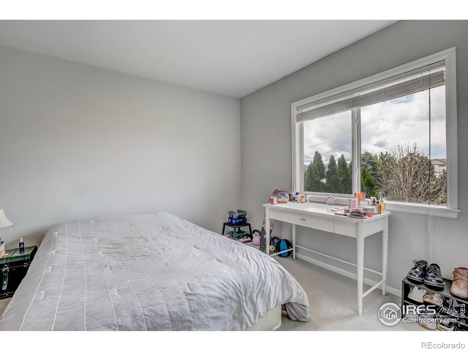 MLS Image #19 for 2875  dafina drive,loveland, Colorado