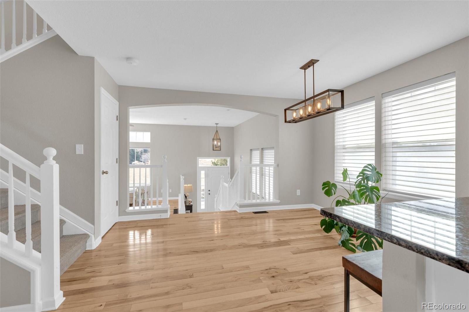 MLS Image #7 for 3643  pecos trail ,castle rock, Colorado