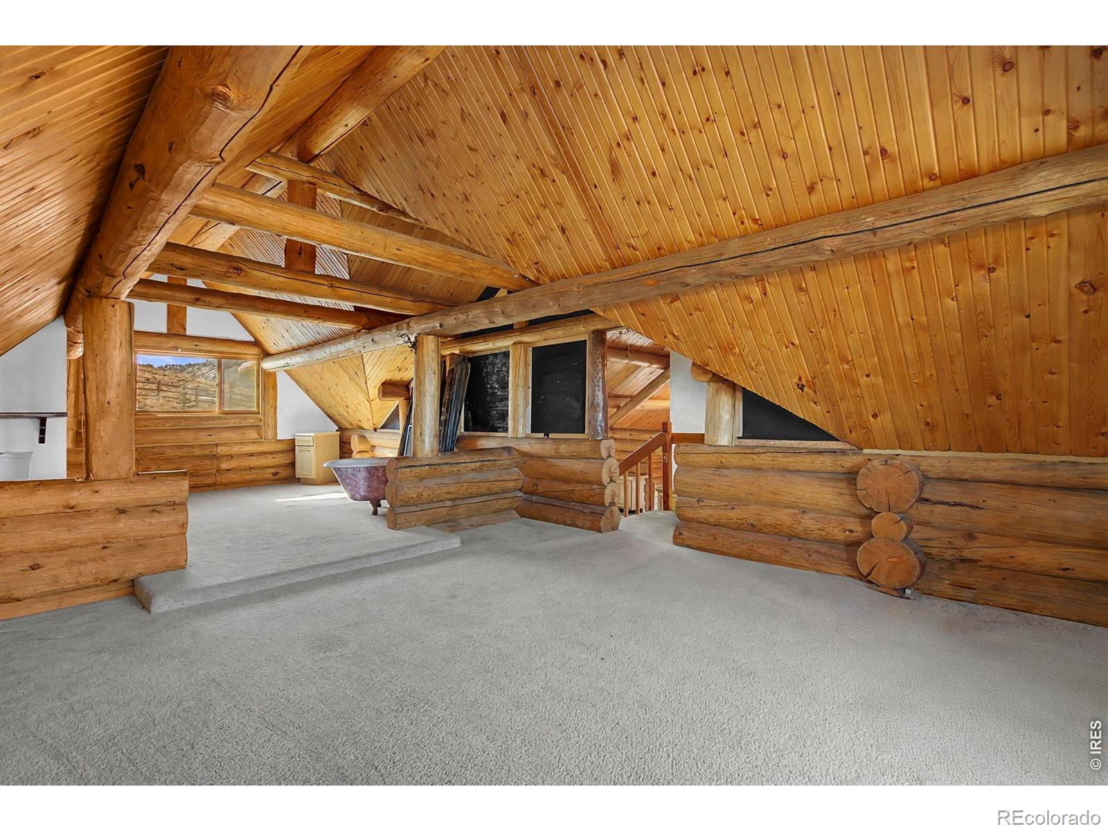 MLS Image #12 for 905  stratton park road,bellvue, Colorado
