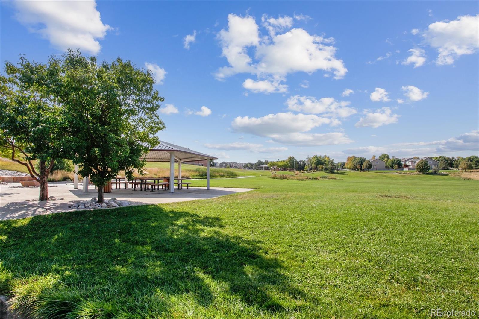 MLS Image #9 for 13904  cook street,thornton, Colorado