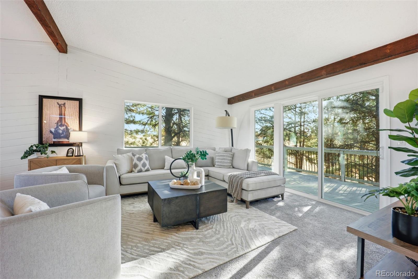 MLS Image #11 for 9212  tanglewood road,franktown, Colorado