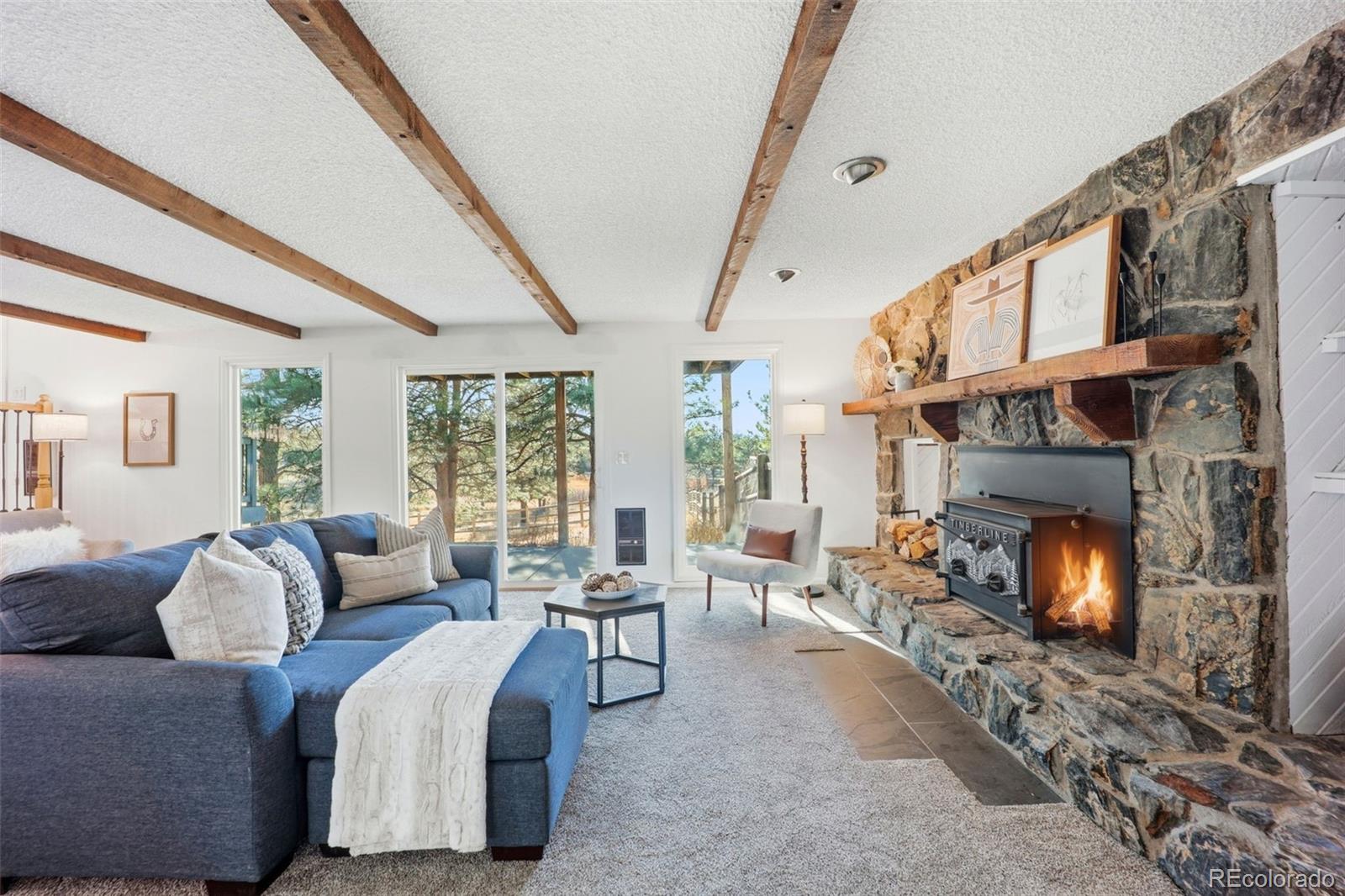 MLS Image #22 for 9212  tanglewood road,franktown, Colorado