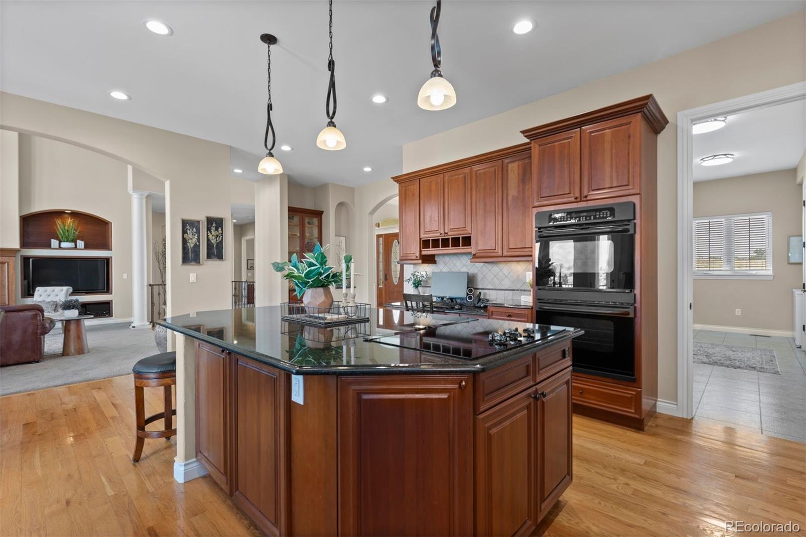 MLS Image #11 for 9298  spirit court,parker, Colorado