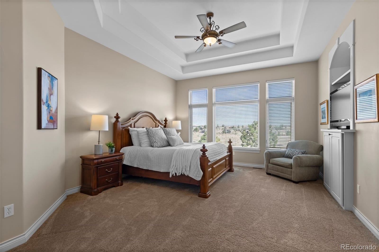 MLS Image #15 for 9298  spirit court,parker, Colorado