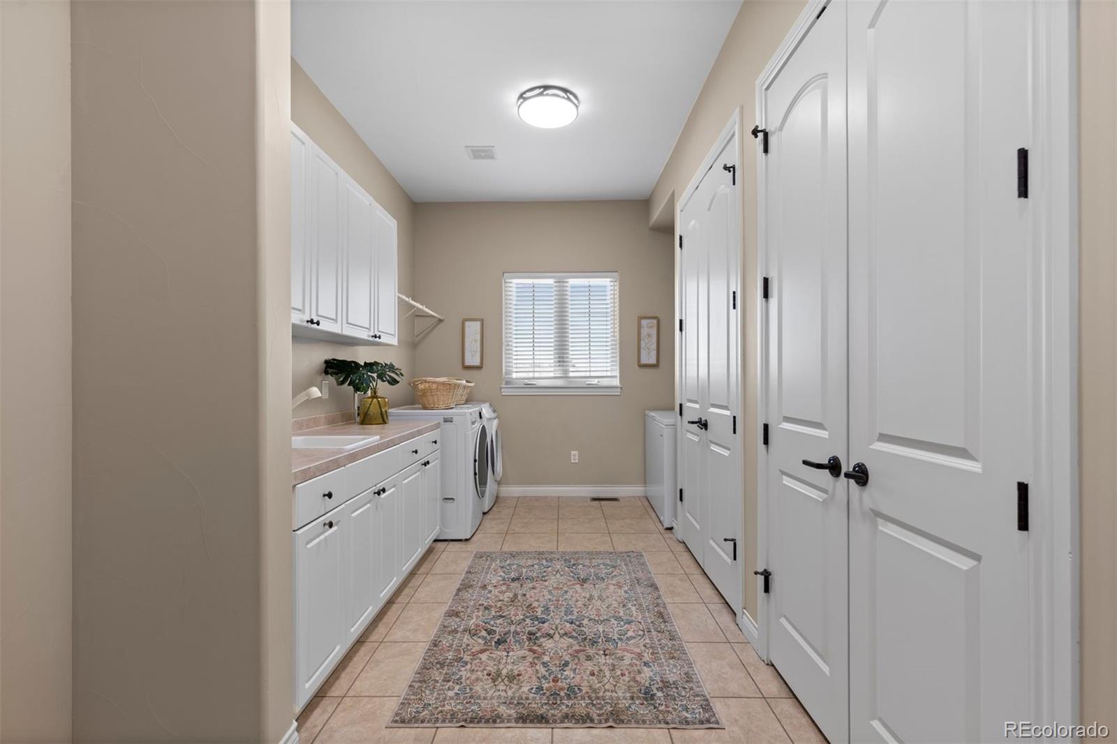 MLS Image #20 for 9298  spirit court,parker, Colorado