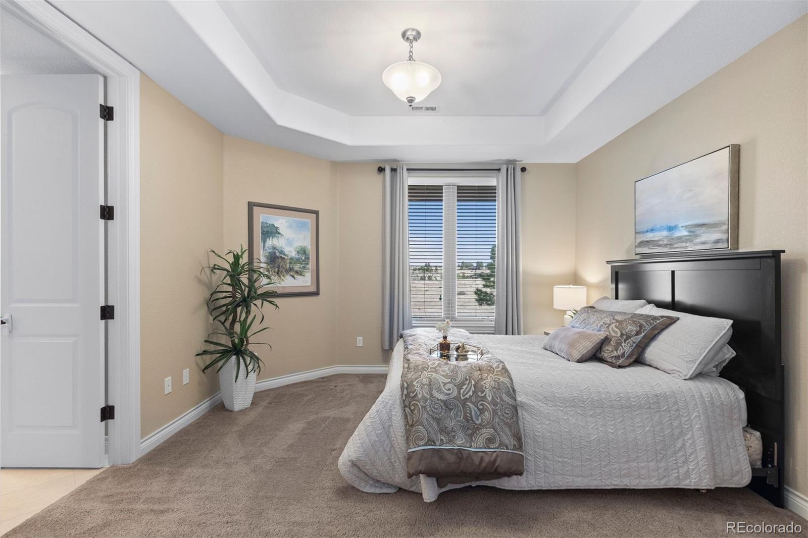MLS Image #30 for 9298  spirit court,parker, Colorado