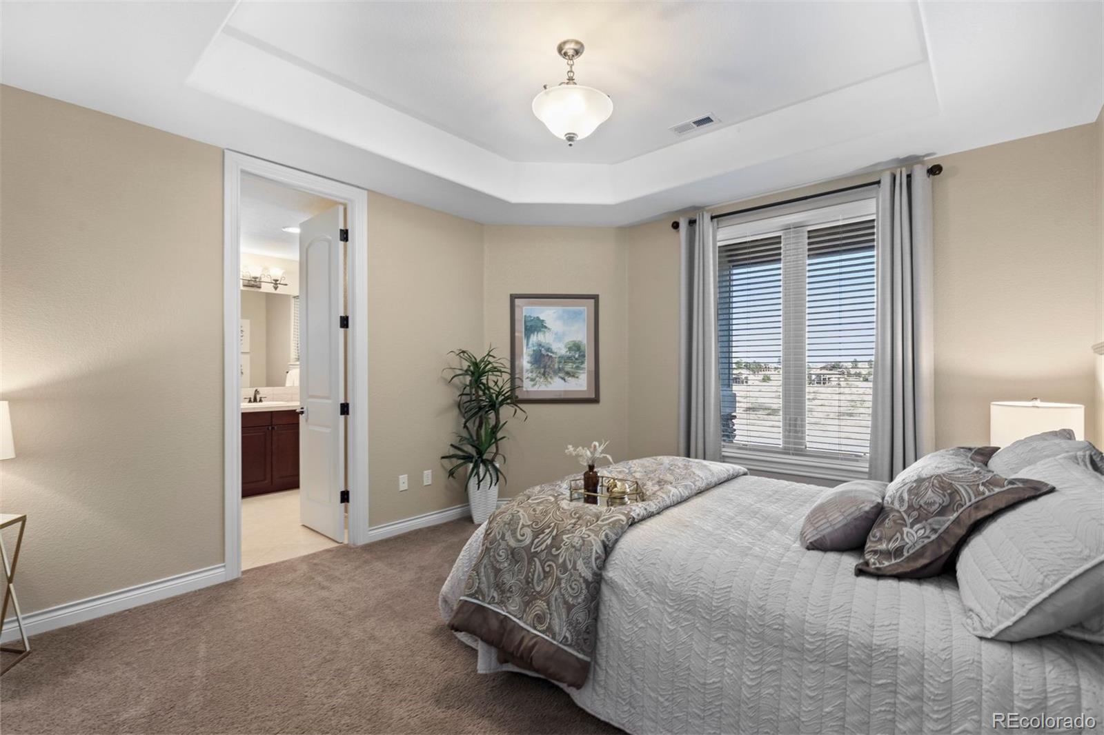 MLS Image #32 for 9298  spirit court,parker, Colorado