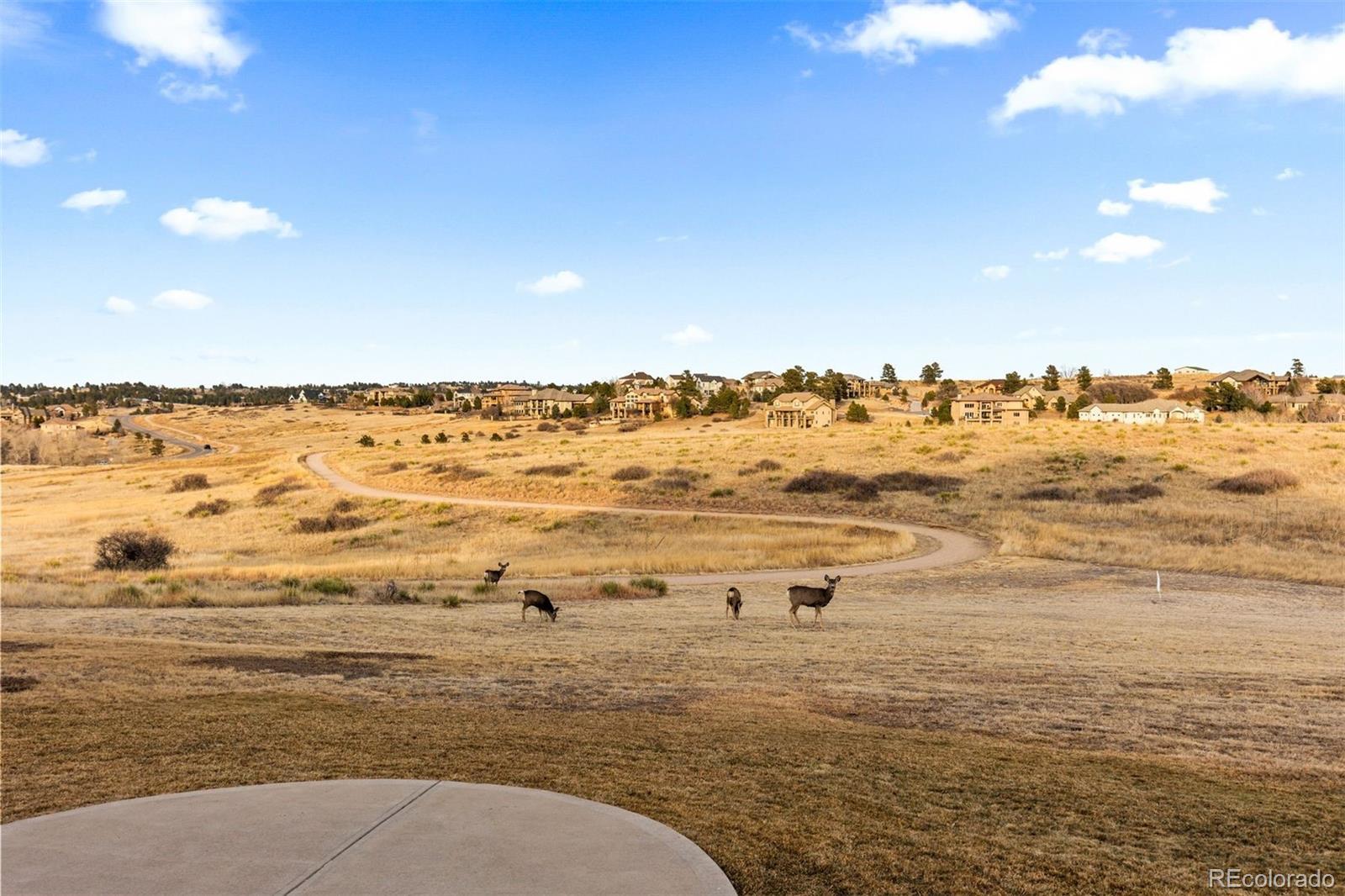 MLS Image #38 for 9298  spirit court,parker, Colorado