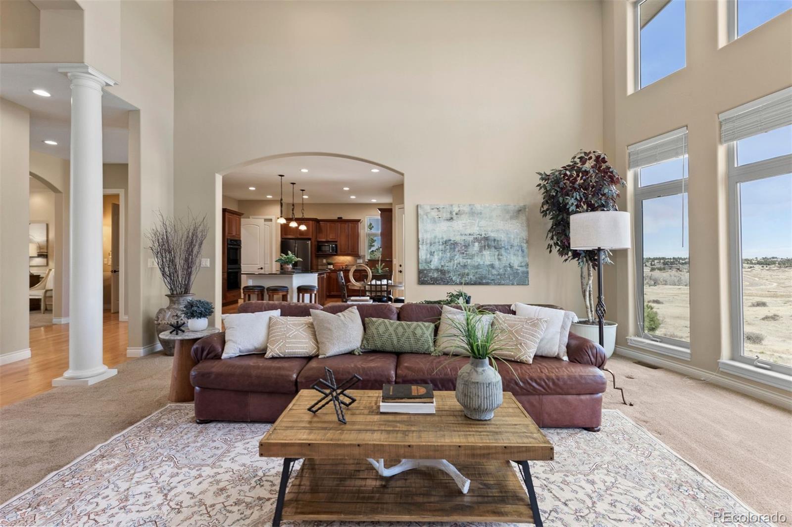MLS Image #6 for 9298  spirit court,parker, Colorado