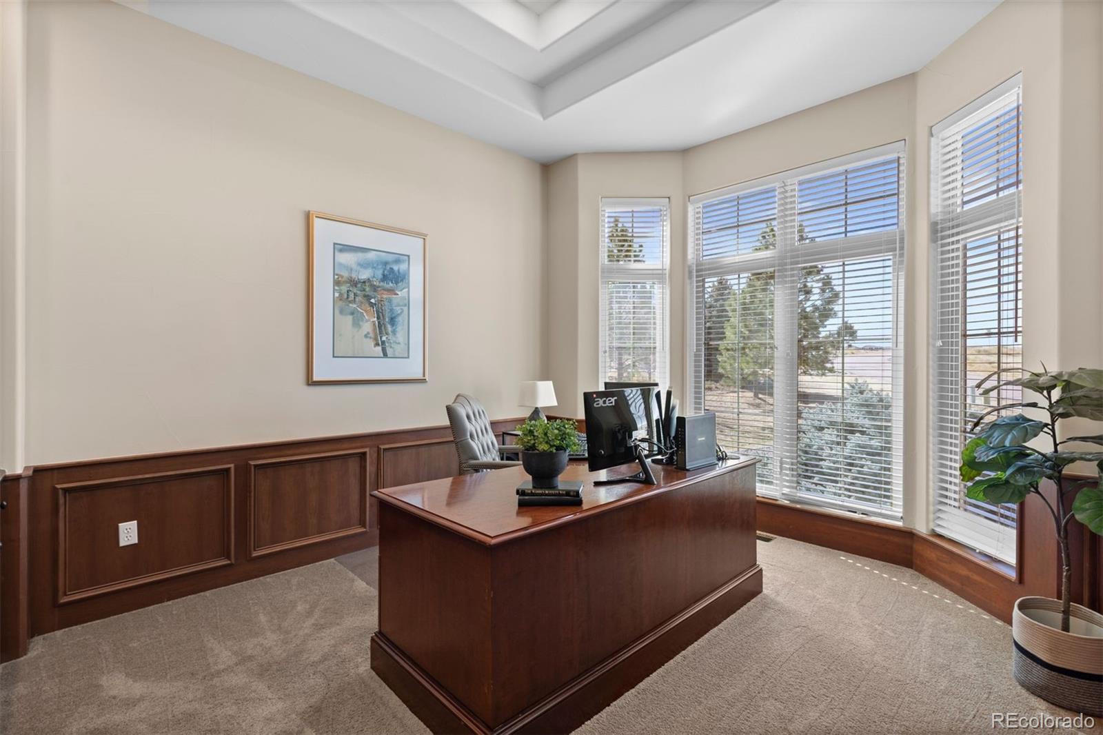 MLS Image #8 for 9298  spirit court,parker, Colorado