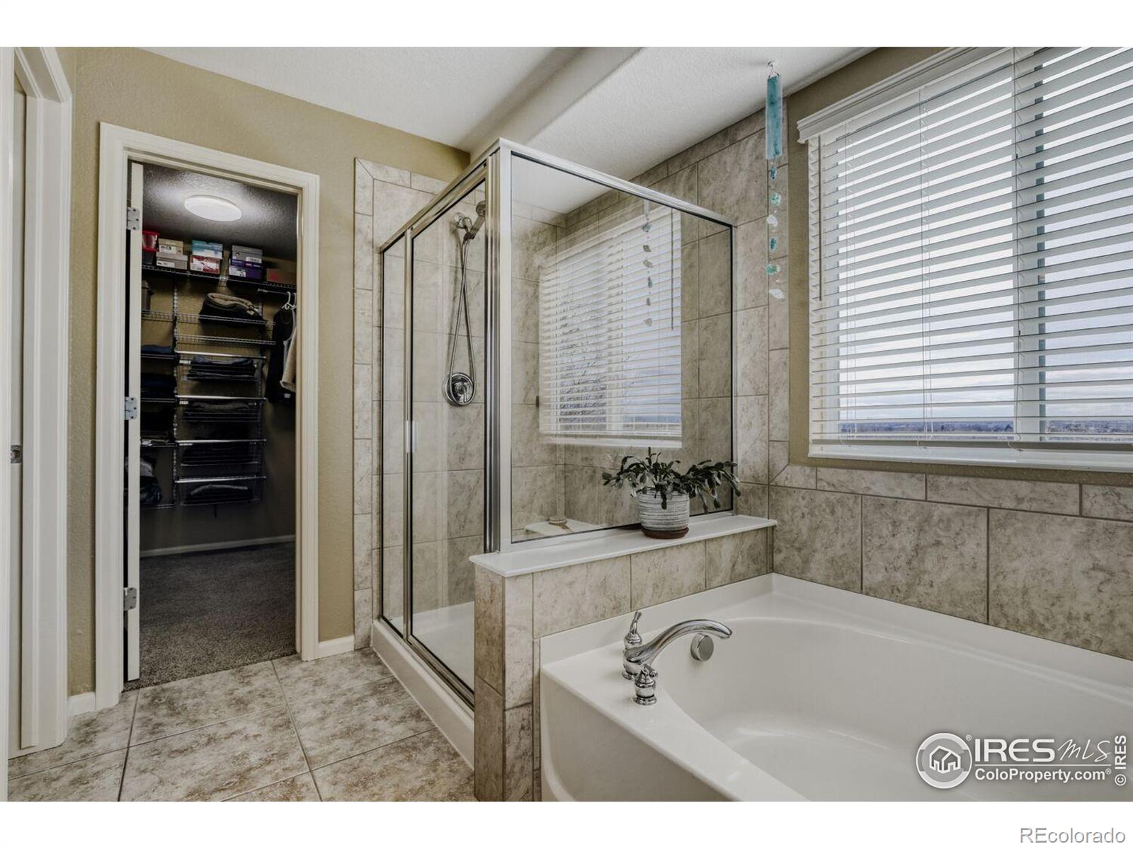 MLS Image #20 for 4240  red deer trail,broomfield, Colorado