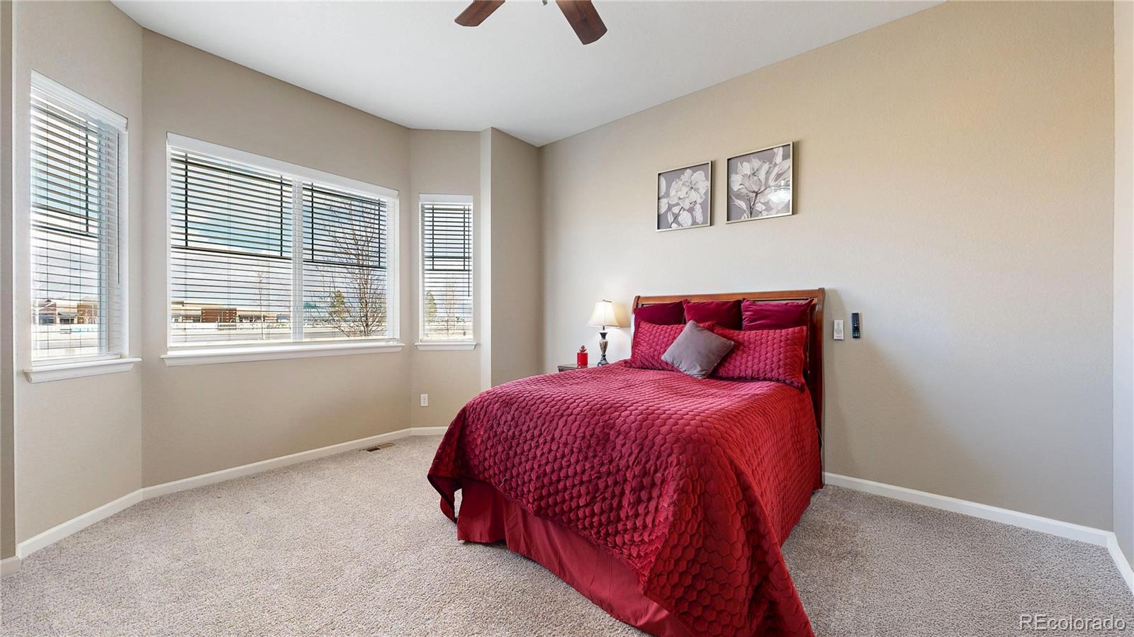 MLS Image #14 for 7414 s scottsburg way,aurora, Colorado
