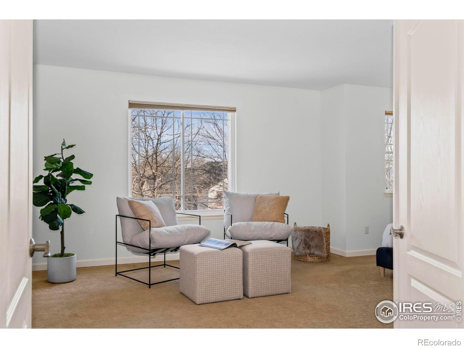 MLS Image #17 for 4025  crawford court,loveland, Colorado