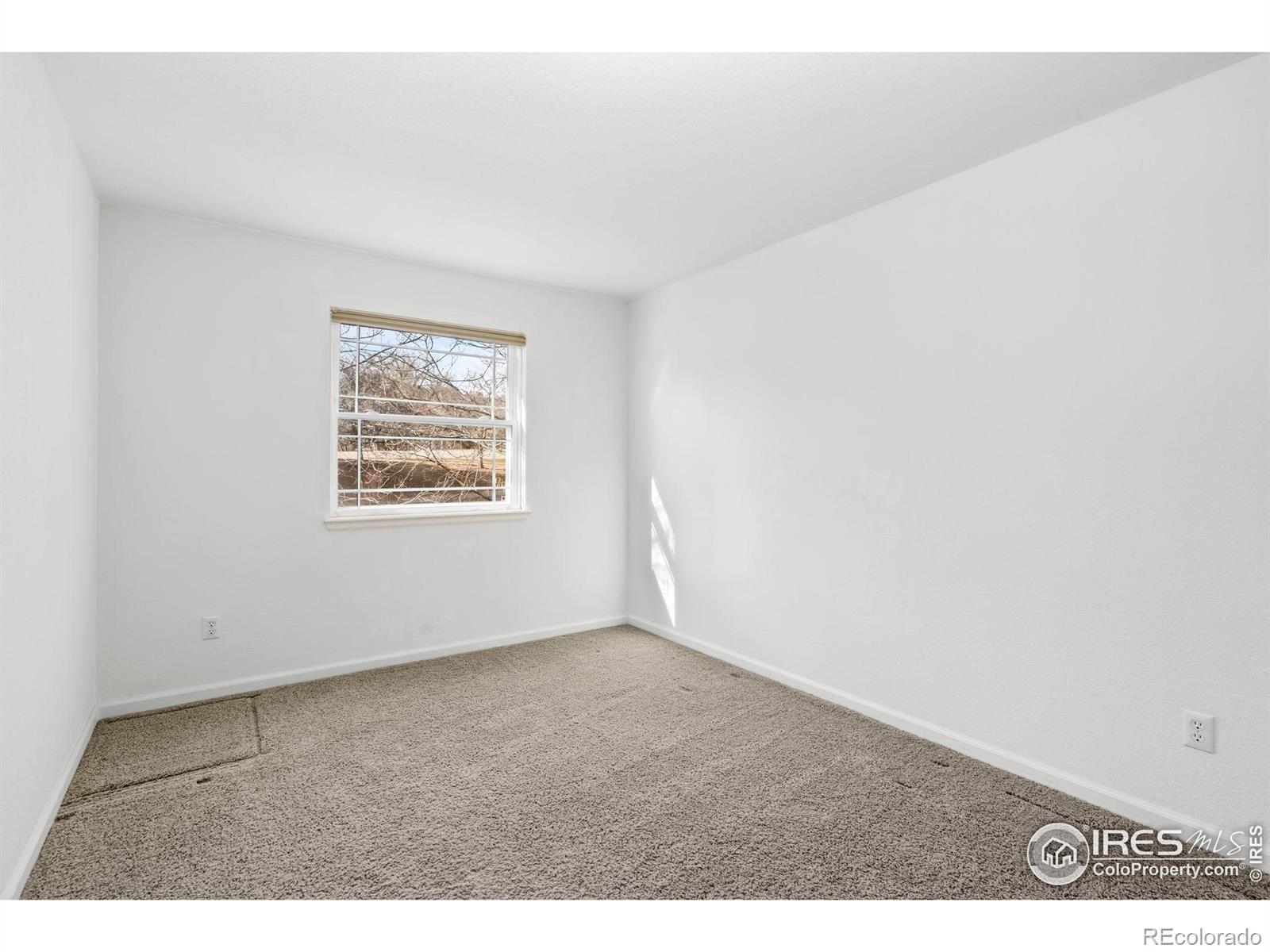 MLS Image #26 for 4025  crawford court,loveland, Colorado